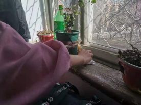 20210322161640051965002477.jpg 10.jpg